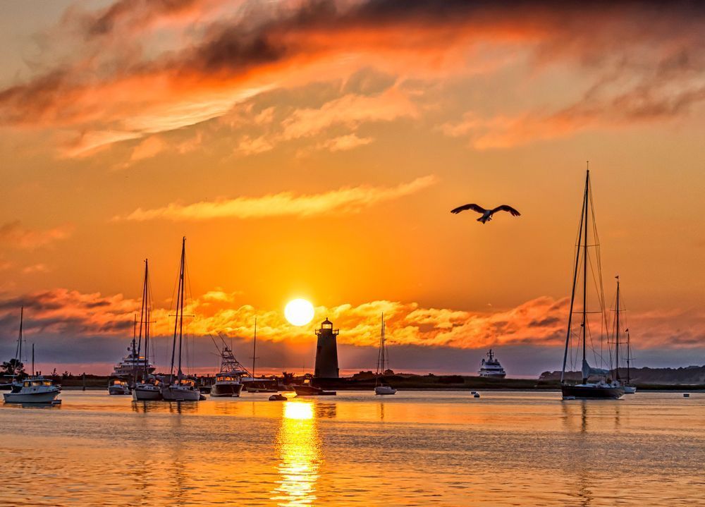 Edgartown Light Morning Gull Art | Michael Blanchard Inspirational Photography - Crossroads Gallery