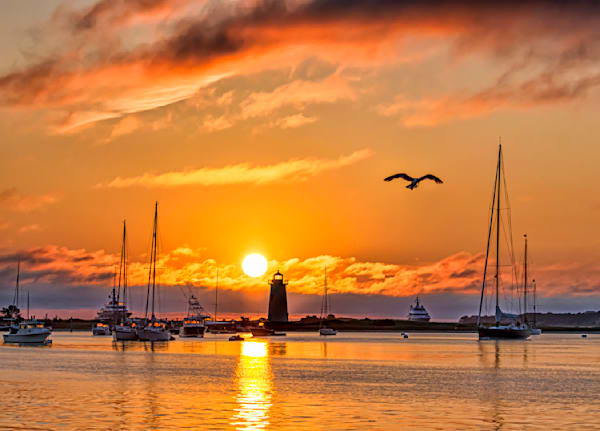 Edgartown Light Morning Gull Art | Michael Blanchard Inspirational Photography - Crossroads Gallery