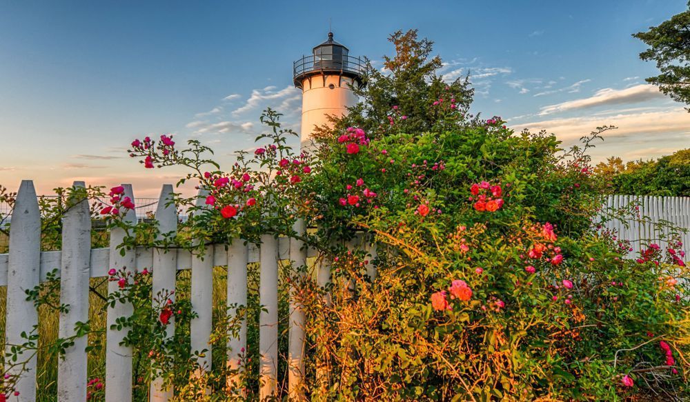 East Chop Light Summer Roses Art | Michael Blanchard Inspirational Photography - Crossroads Gallery