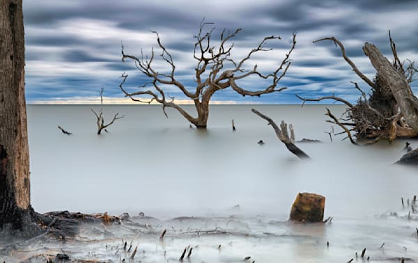 Jekyll Island Driftwood Beach Art | Michael Blanchard Inspirational Photography - Crossroads Gallery