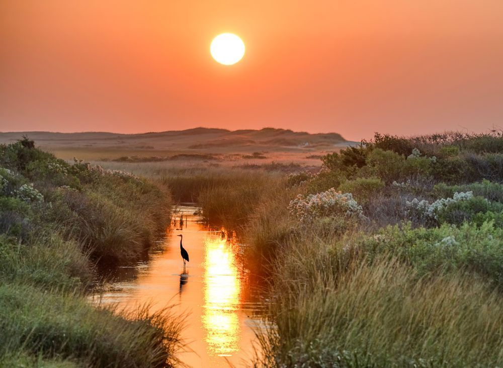 Herring Creek Solitary Egret Art | Michael Blanchard Inspirational Photography - Crossroads Gallery