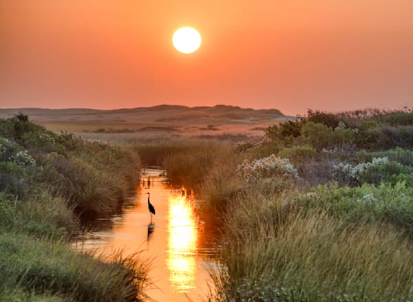 Herring Creek Solitary Egret Art | Michael Blanchard Inspirational Photography - Crossroads Gallery