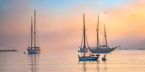 Harbor Fog Cormorants Art | Michael Blanchard Inspirational Photography - Crossroads Gallery