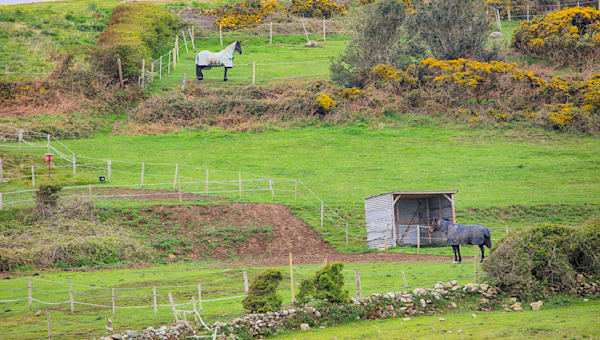 Horse Farms Of Howth Art | Michael Blanchard Inspirational Photography - Crossroads Gallery