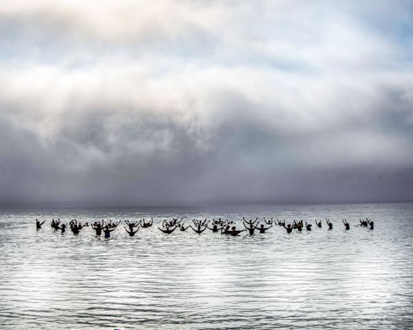 Inkwell Beach Polar Bears Art | Michael Blanchard Inspirational Photography - Crossroads Gallery