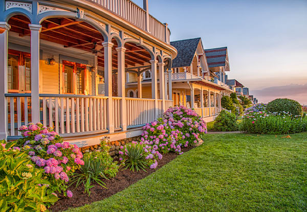 Ocean Park Sunrise Hydrangeas Art | Michael Blanchard Inspirational Photography - Crossroads Gallery