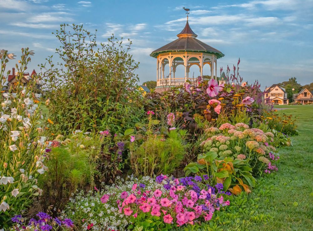 Ocean Park August Flowers 2025 Art | Michael Blanchard Inspirational Photography - Crossroads Gallery
