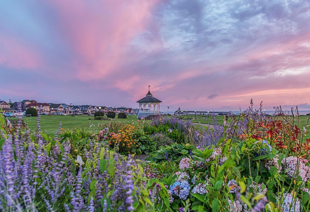 Ocean Park Summer Skies And Flowers Art | Michael Blanchard Inspirational Photography - Crossroads Gallery