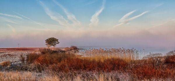 Long Point Fog Layer Art | Michael Blanchard Inspirational Photography - Crossroads Gallery