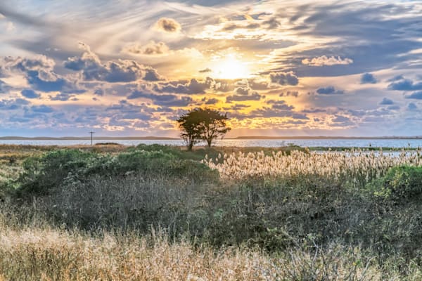 Long Point Fall Grasses And Reeds Art | Michael Blanchard Inspirational Photography - Crossroads Gallery