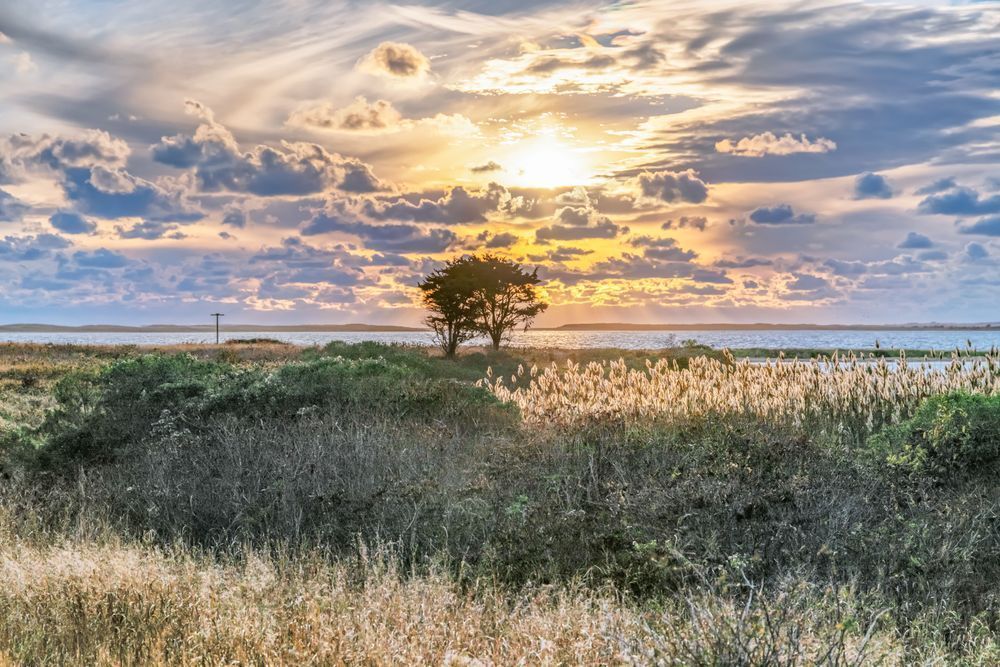 Long Point Fall Grasses And Reeds Art | Michael Blanchard Inspirational Photography - Crossroads Gallery