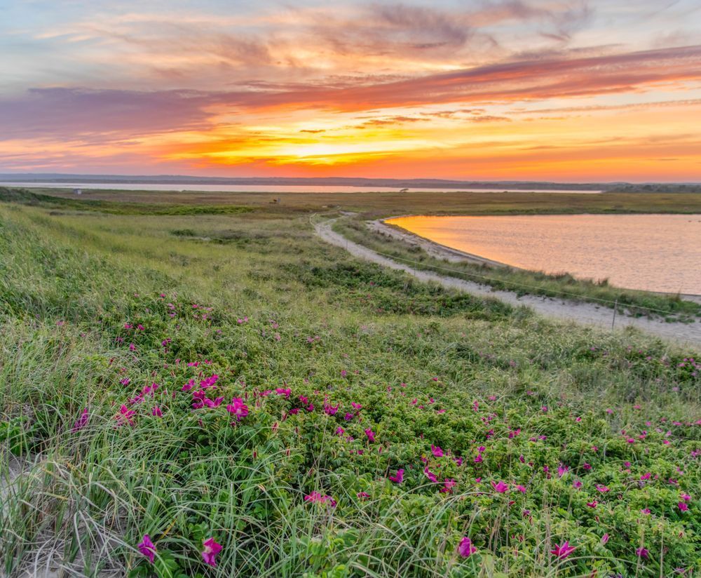Long Point Beach Rose Sunset Art | Michael Blanchard Inspirational Photography - Crossroads Gallery