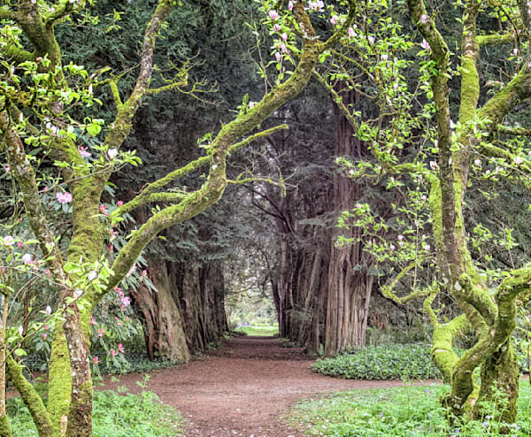 Lismore Castle Gardens Art | Michael Blanchard Inspirational Photography - Crossroads Gallery