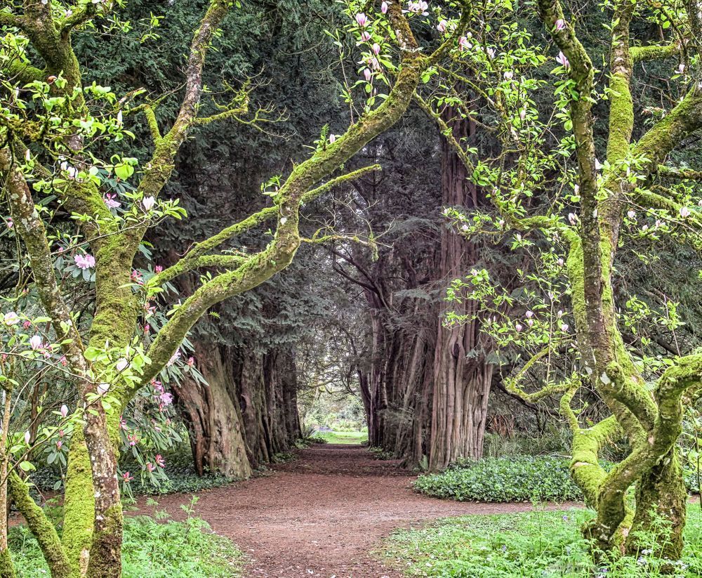 Lismore Castle Gardens Art | Michael Blanchard Inspirational Photography - Crossroads Gallery