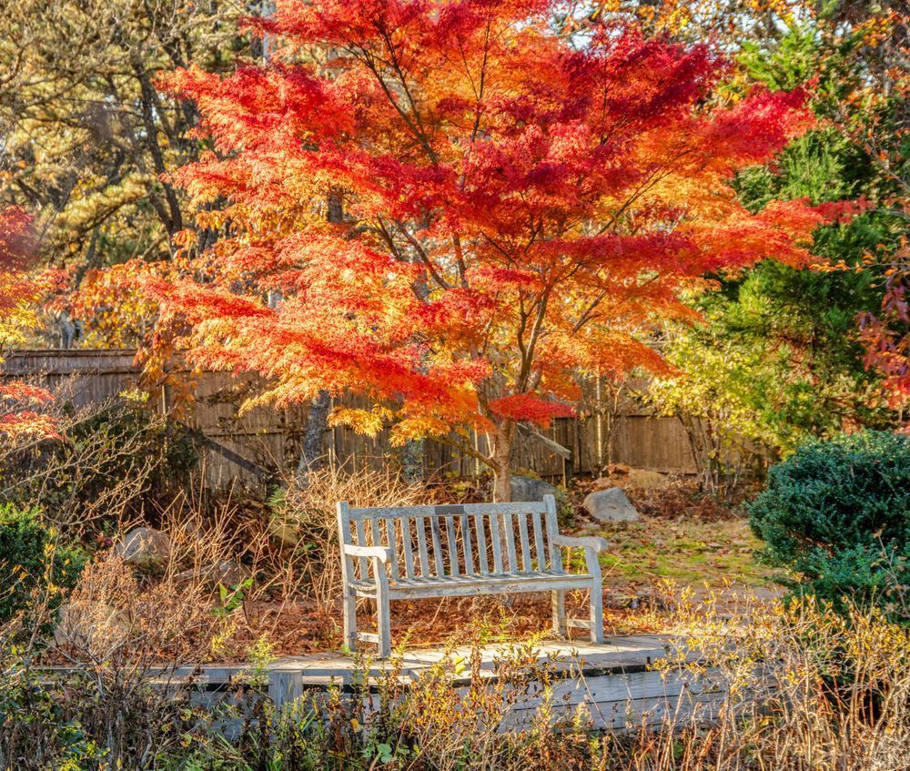 My Toi Bench Fall 2023 Art | Michael Blanchard Inspirational Photography - Crossroads Gallery