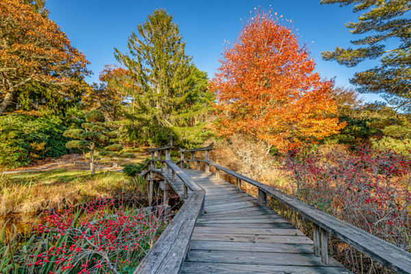 My Toi Fall Bridge 2023 Art | Michael Blanchard Inspirational Photography - Crossroads Gallery