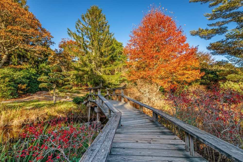 My Toi Fall Bridge 2023 Art | Michael Blanchard Inspirational Photography - Crossroads Gallery
