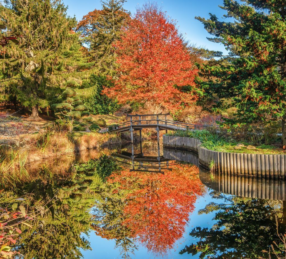 My Toi Pond Fall 2023 Art | Michael Blanchard Inspirational Photography - Crossroads Gallery