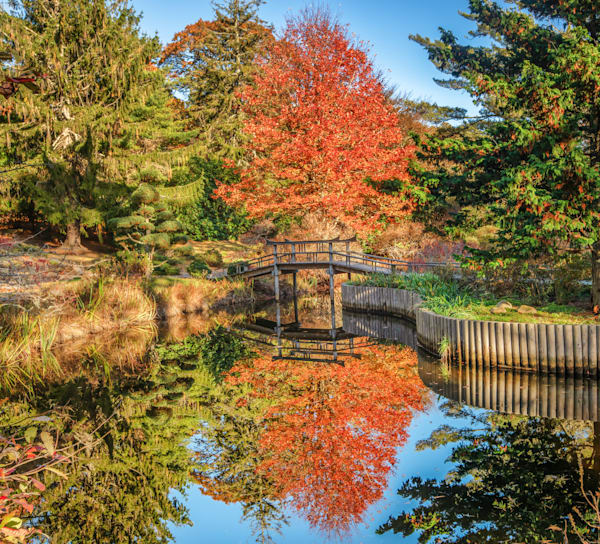My Toi Pond Fall 2023 Art | Michael Blanchard Inspirational Photography - Crossroads Gallery