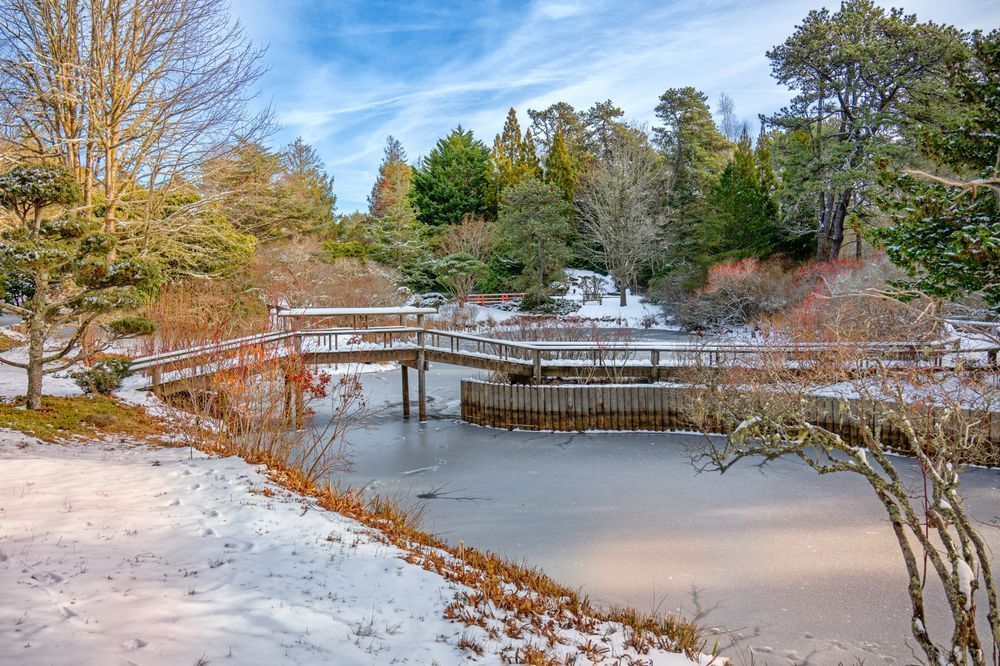 Mytoi Winter Ice Art | Michael Blanchard Inspirational Photography - Crossroads Gallery