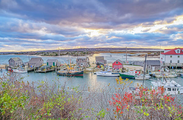 Menemsha Fall Berries Art | Michael Blanchard Inspirational Photography - Crossroads Gallery