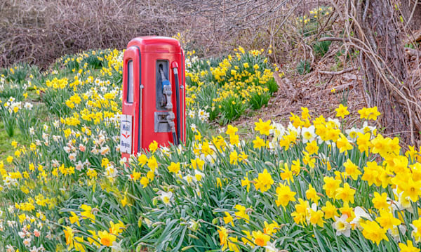 Mobile Station Spring Art | Michael Blanchard Inspirational Photography - Crossroads Gallery