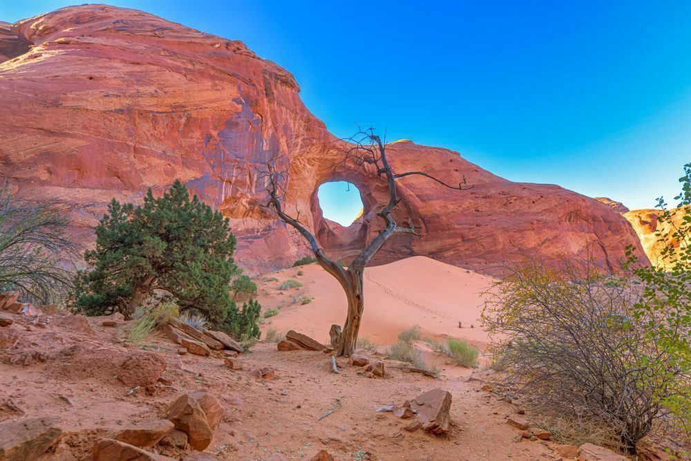 Monument Valley Tree Art | Michael Blanchard Inspirational Photography - Crossroads Gallery