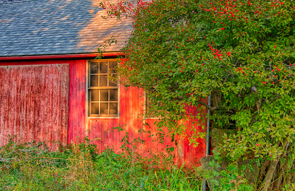 Middle Road Fall Barn Art | Michael Blanchard Inspirational Photography - Crossroads Gallery