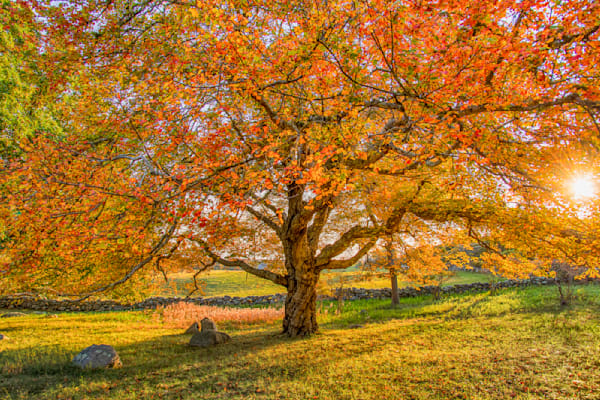 Middle Road Fall Leaves Sunset Art | Michael Blanchard Inspirational Photography - Crossroads Gallery