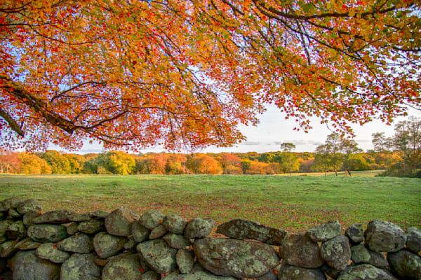 Middle Road Fall Leaves Stone Wall Art | Michael Blanchard Inspirational Photography - Crossroads Gallery