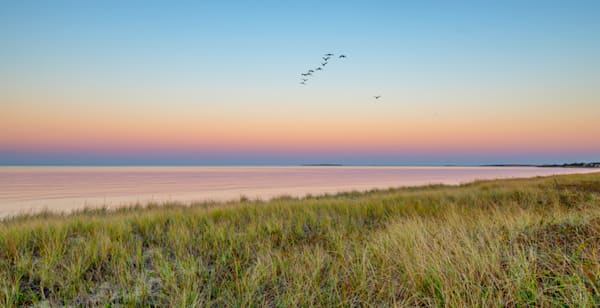 State Beach Cormorant Sunset Art | Michael Blanchard Inspirational Photography - Crossroads Gallery