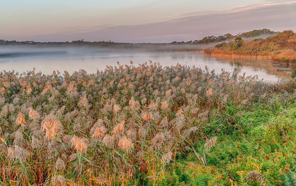Squibby Foggy Sunrise Art | Michael Blanchard Inspirational Photography - Crossroads Gallery