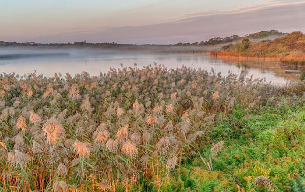 Squibby Foggy Sunrise Art | Michael Blanchard Inspirational Photography - Crossroads Gallery