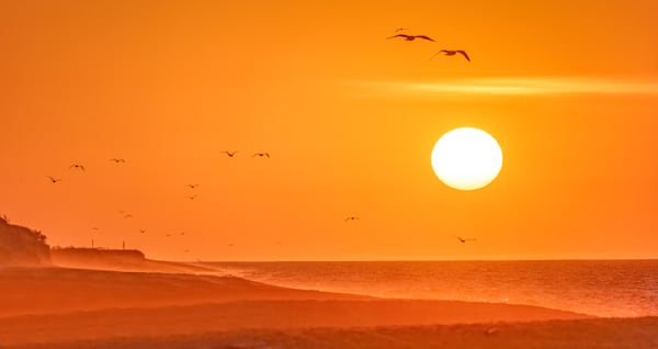 South Beach Fall Gulls Art | Michael Blanchard Inspirational Photography - Crossroads Gallery