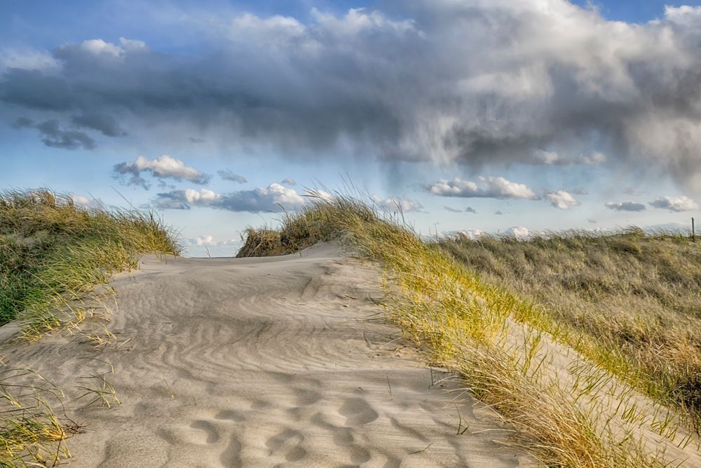 South Beach Dune Art | Michael Blanchard Inspirational Photography - Crossroads Gallery