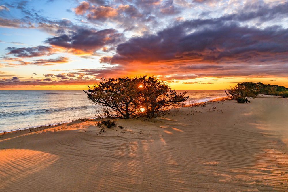 South Beach Burning Bush Art | Michael Blanchard Inspirational Photography - Crossroads Gallery