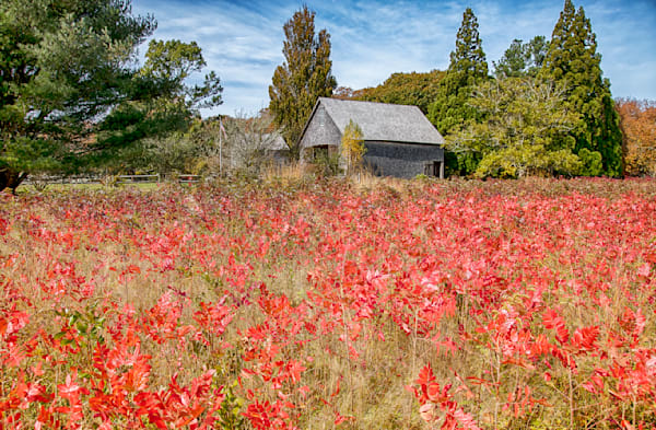 Polly Hill Fall Barn Art | Michael Blanchard Inspirational Photography - Crossroads Gallery