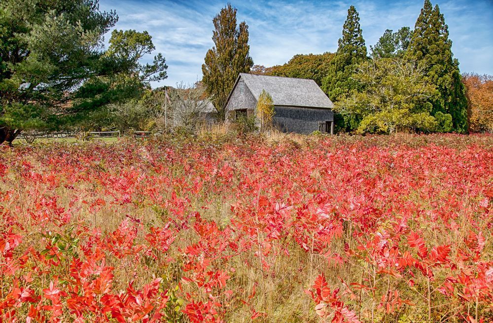 Polly Hill Fall Barn Art | Michael Blanchard Inspirational Photography - Crossroads Gallery