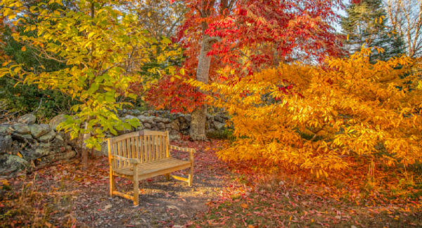 Polly Hill Fall 2024 Art | Michael Blanchard Inspirational Photography - Crossroads Gallery