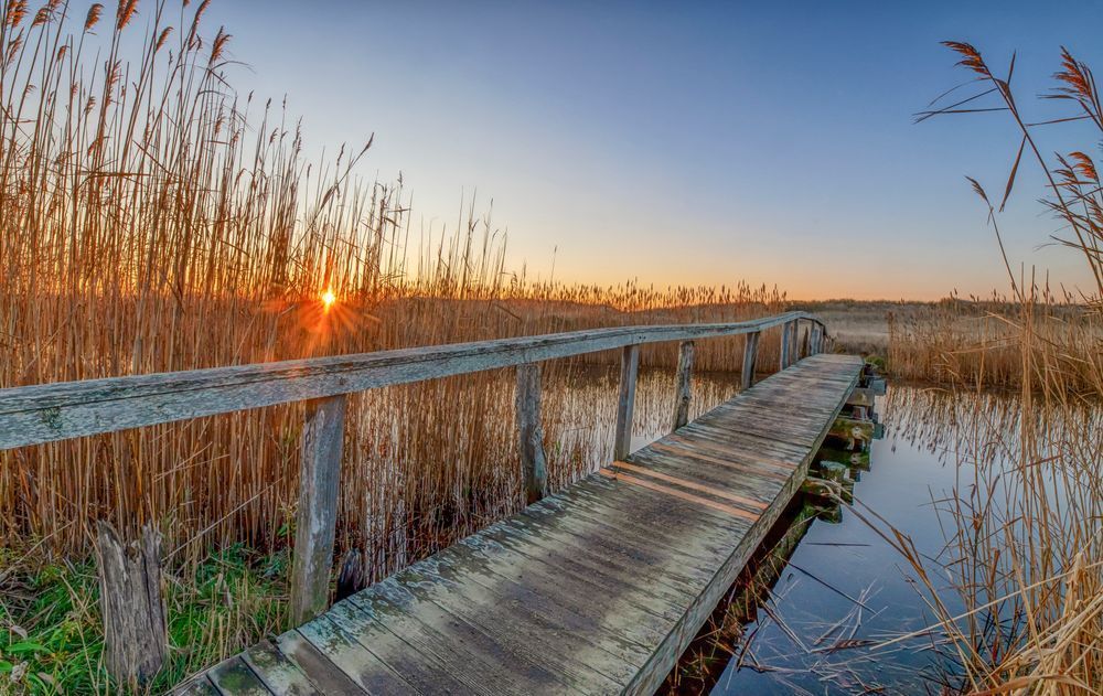 Quansoo Bridge Fall Sunrise Art | Michael Blanchard Inspirational Photography - Crossroads Gallery