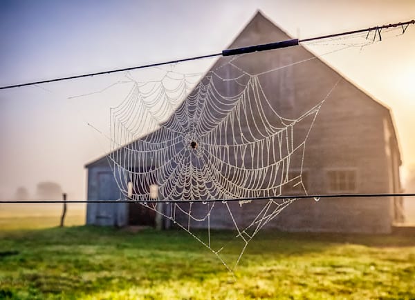 West Tisbury Web Art | Michael Blanchard Inspirational Photography - Crossroads Gallery