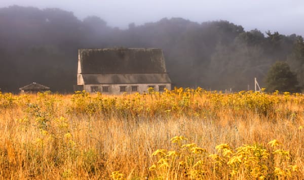 West Tisbury Foggy Fields Of Gold Art | Michael Blanchard Inspirational Photography - Crossroads Gallery