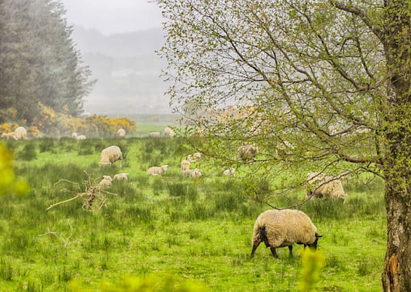 Wicklow Mountains Rain Storm Art | Michael Blanchard Inspirational Photography - Crossroads Gallery