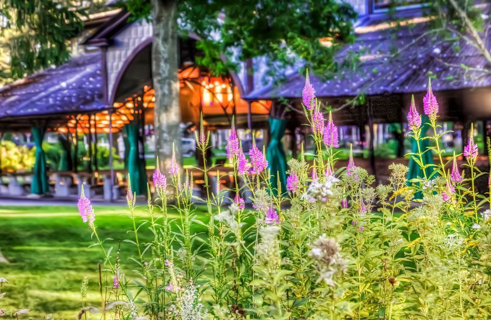 Tabernacle Flowers Art | Michael Blanchard Inspirational Photography - Crossroads Gallery