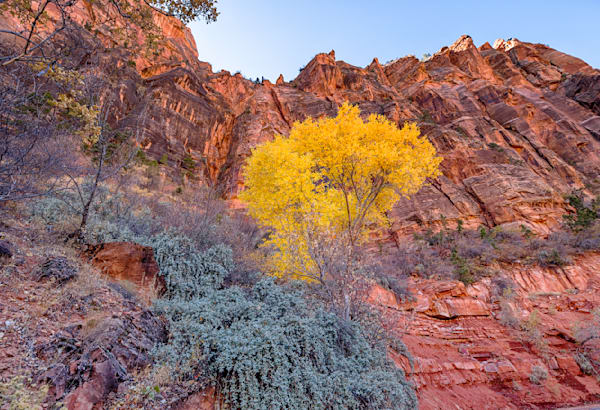 Zion Basin Fall Art | Michael Blanchard Inspirational Photography - Crossroads Gallery