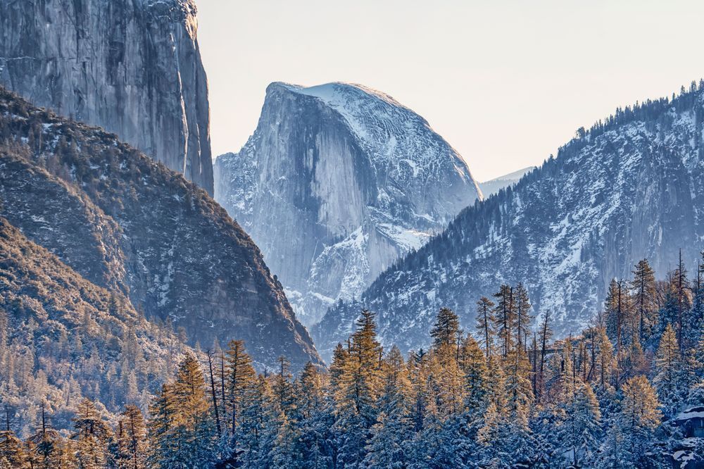 Yosemite Half Dome Forest Art | Michael Blanchard Inspirational Photography - Crossroads Gallery