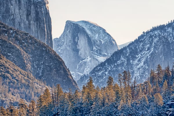 Yosemite Half Dome Forest Art | Michael Blanchard Inspirational Photography - Crossroads Gallery