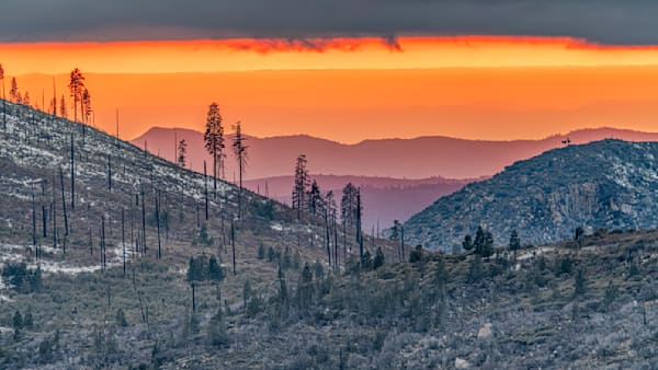 Yosemite Survival Art | Michael Blanchard Inspirational Photography - Crossroads Gallery