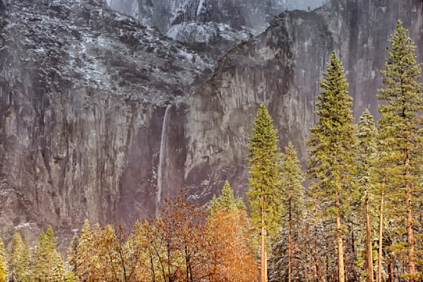 Bridalveil Falls Pine Trees Art | Michael Blanchard Inspirational Photography - Crossroads Gallery