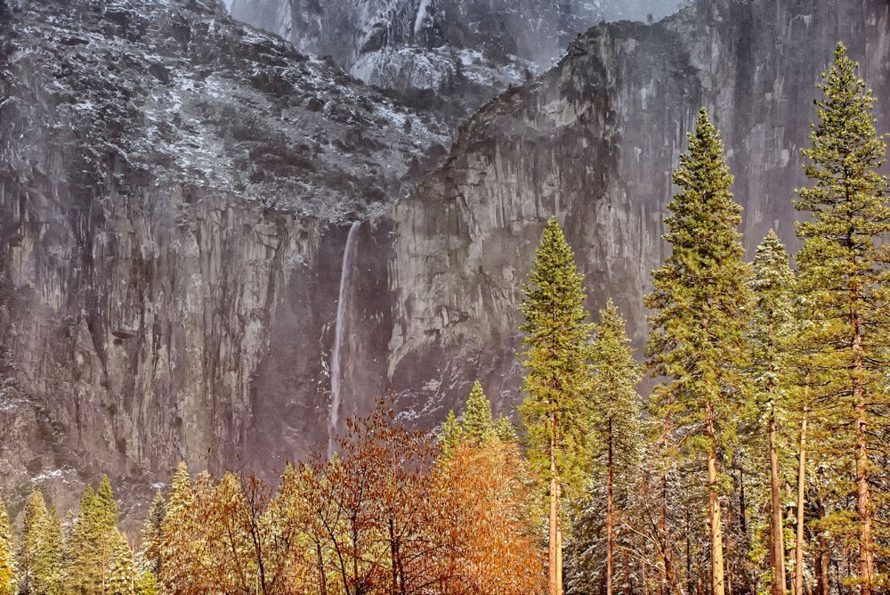 Bridalveil Falls Pine Trees Art | Michael Blanchard Inspirational Photography - Crossroads Gallery